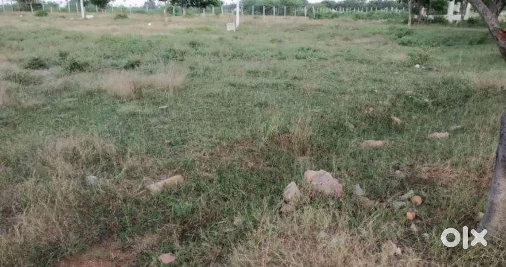 Open land for sale at gorlavari palem