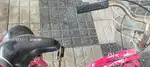 Lady Bird cycle with Good condition