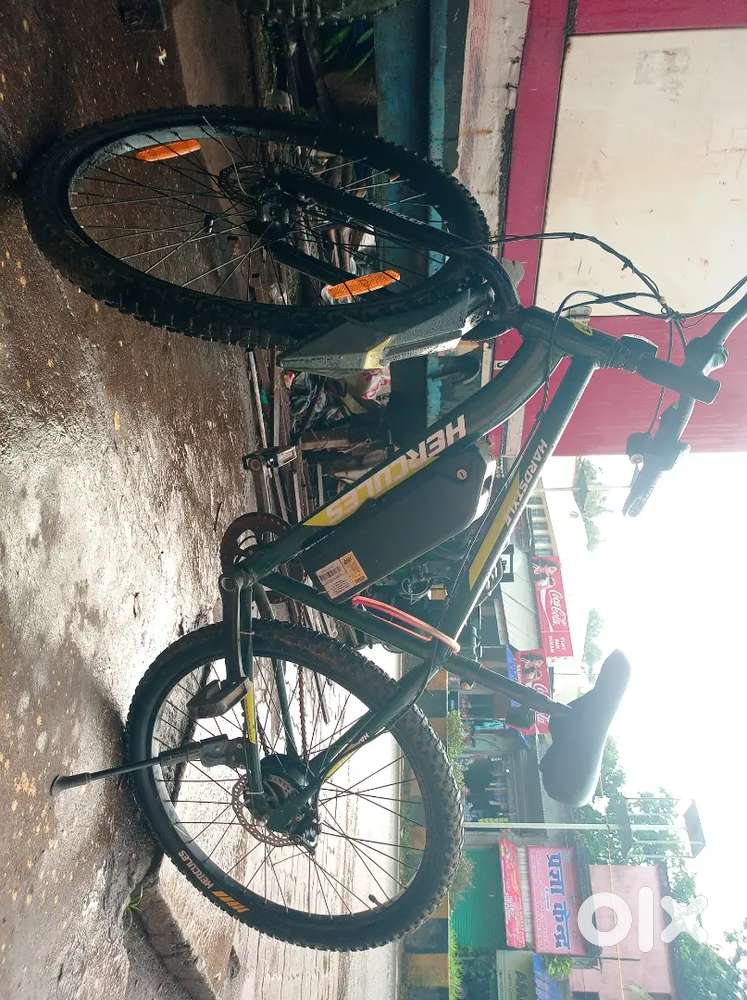 Electric bicycle