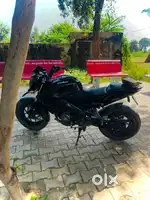 Brand new condition