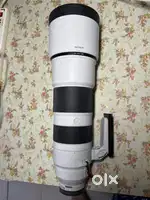 Sony 200-600 mm telephoto lens