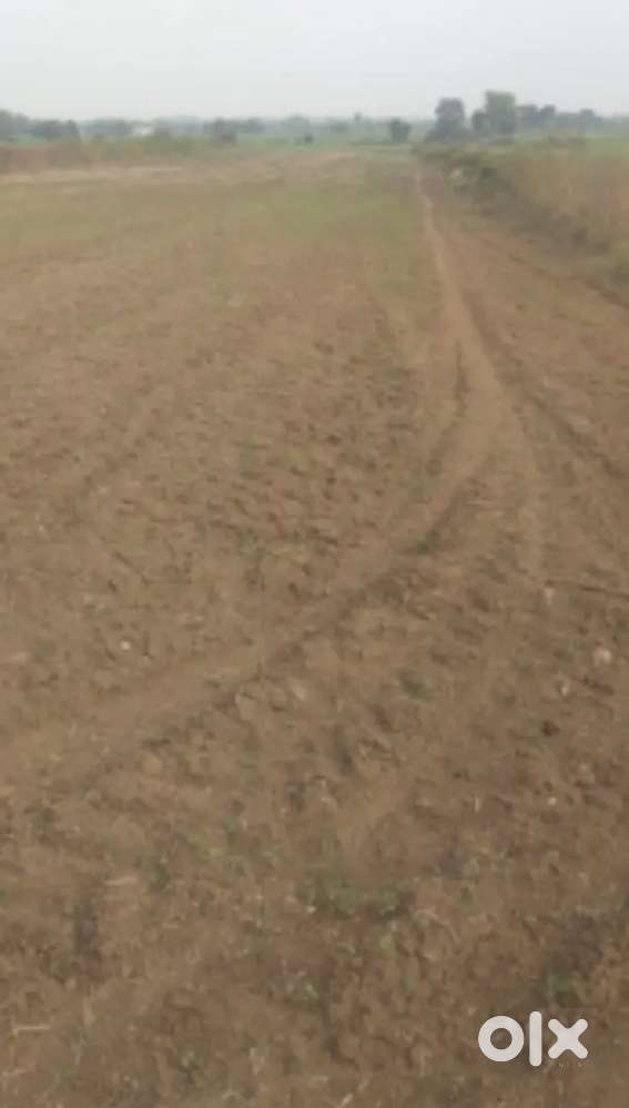 2 acar agriculture land from neelbad 10km