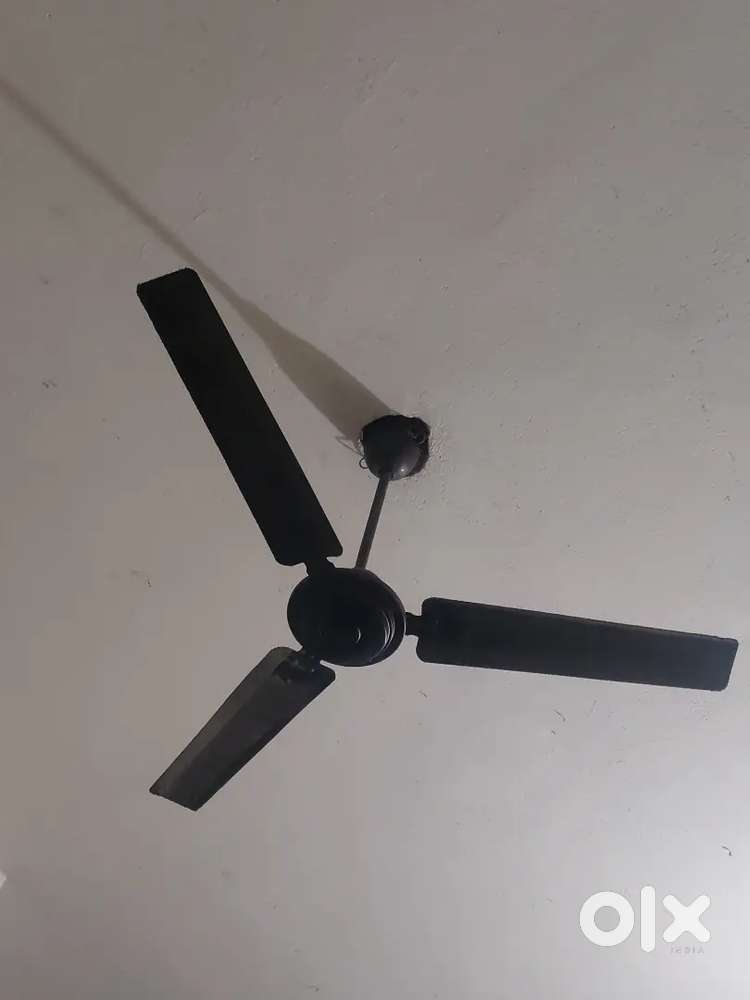 Fan seel urgent required