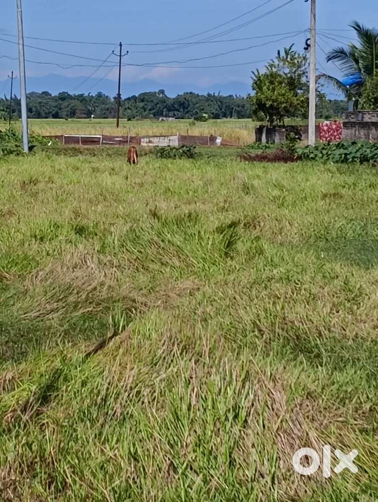 I have two land for sale