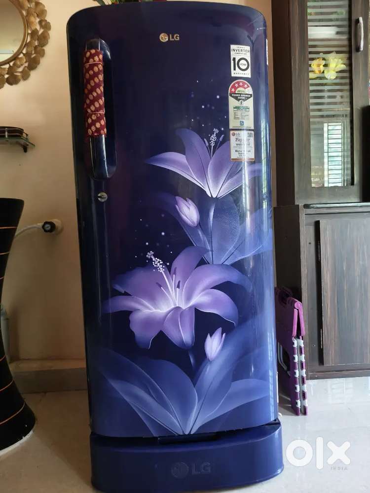 LG Refrigerator 5 years Old