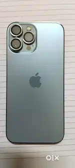 iPhone 13 Pro Max 1024 GB