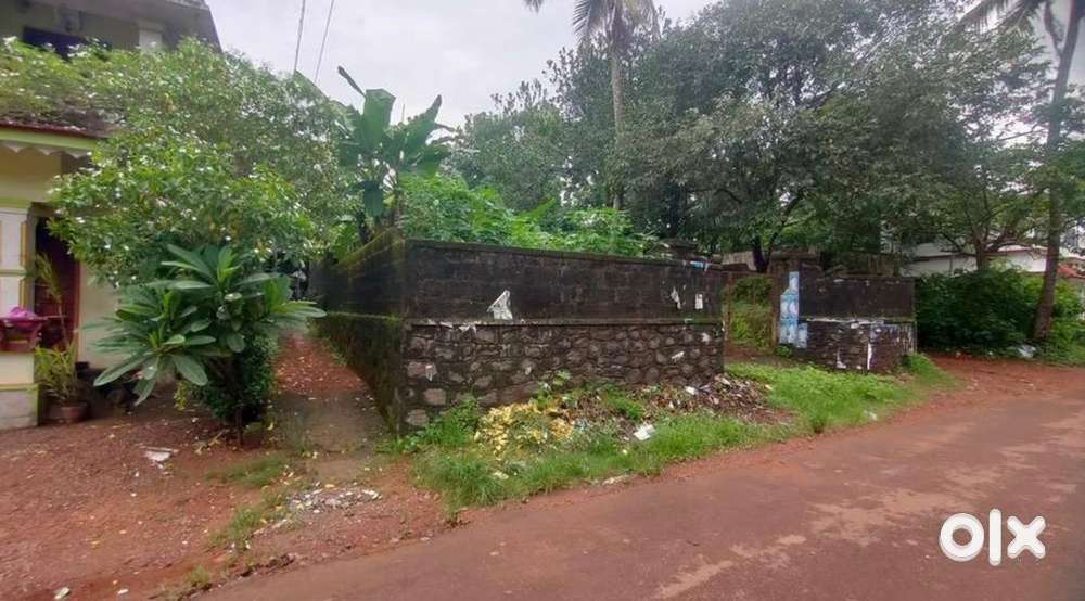 അമര (ചങ്ങനാശ്ശേരി – മടപ്പള്ളി സമീപം) 8.5 സെന്റ് റെസിഡൻഷ്യൽ പ്ലോട്ട്