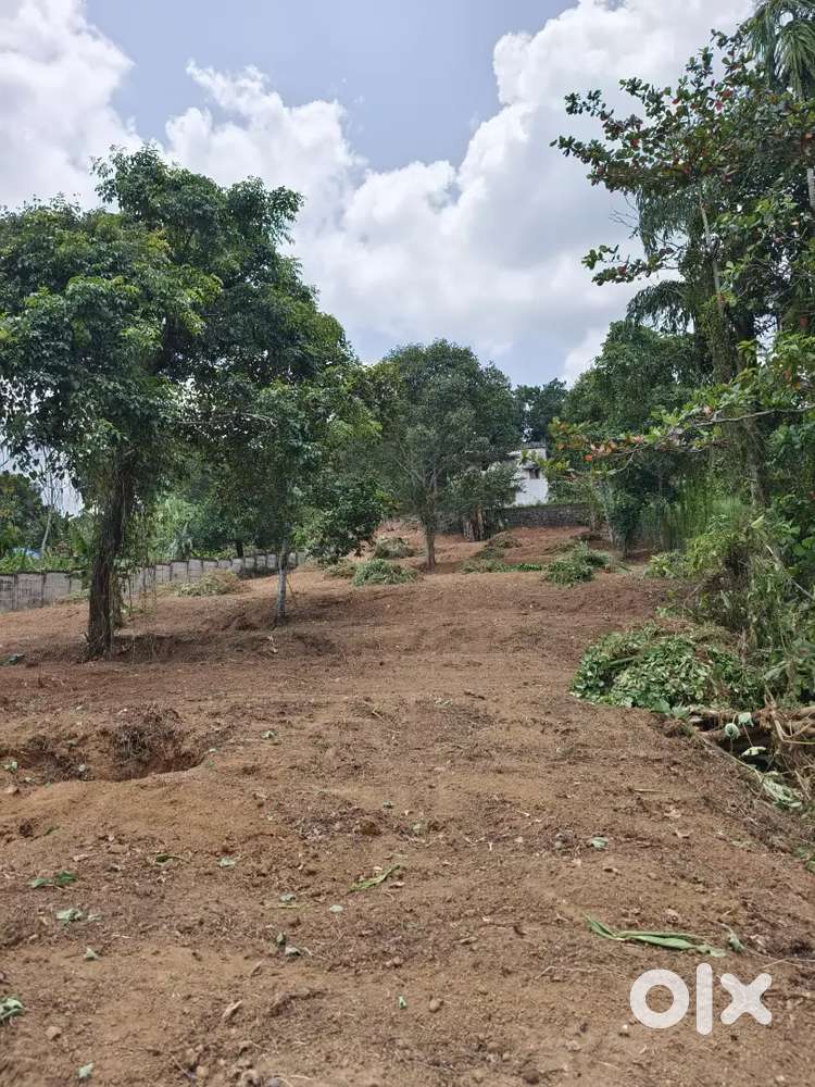 1 acre 10 cents of land at Manganam, Kottayam