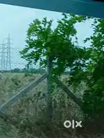 near mekaguda