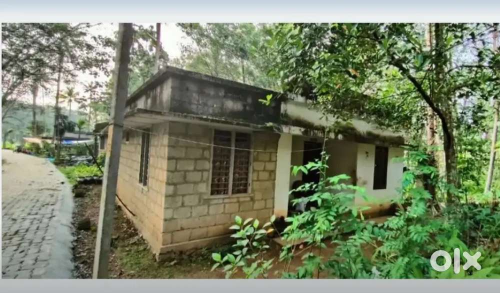 1100000 urgent sale 2 bhk