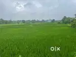 Agriculture land juni sharat