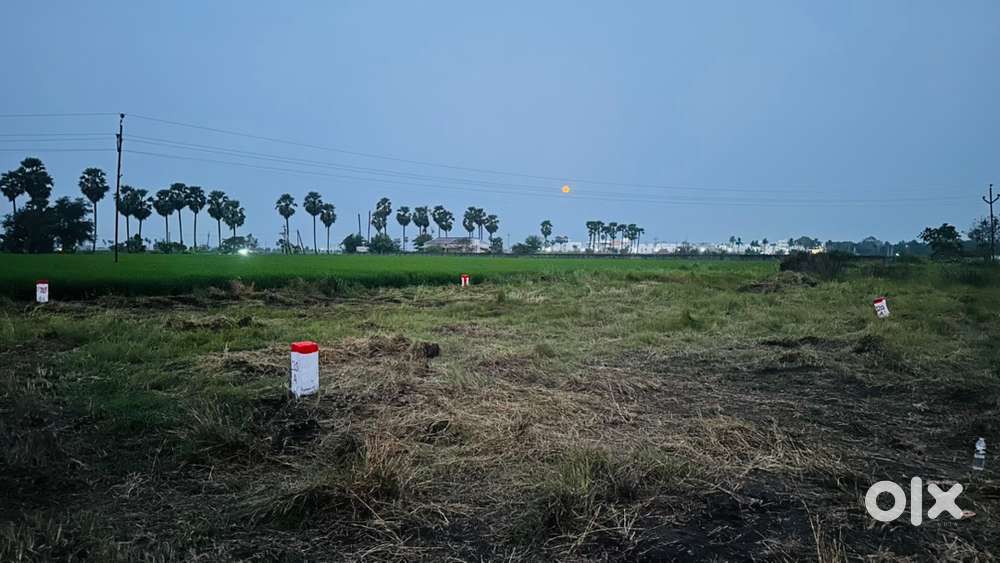 320 Sq Yards Corner Plot - Edupugallu Sale