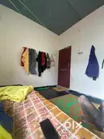 need roomate