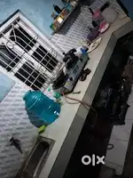 URGENT NEED A GOOD ROOM PARTNER