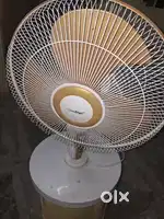 TABLE FAN Green chef