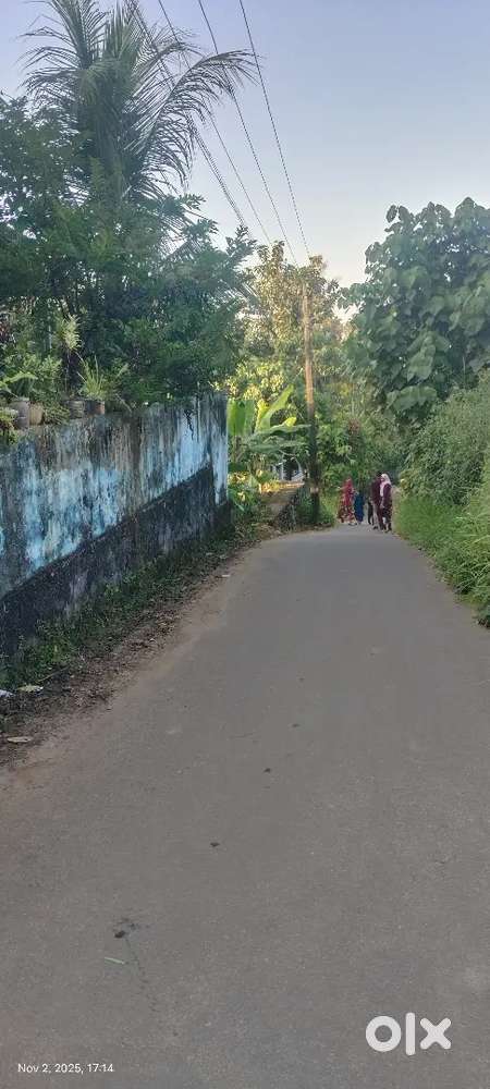 10സെന്റ് plot ചേലക്കുളം കാവുങ്ങപ്പറമ്പ്  1km പള്ളികവല റോഡ്