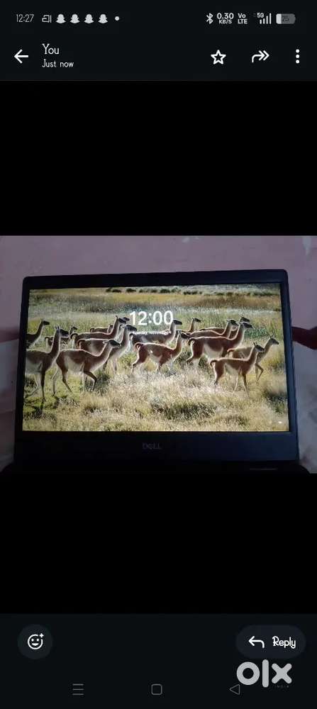 Dell latitude 3400 i5 8th generation 16gb 256 gb SSD