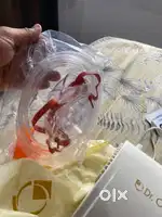 Dr.Odin Piston Compressor Nebuliser