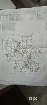 Field site ke liye larka chahiye