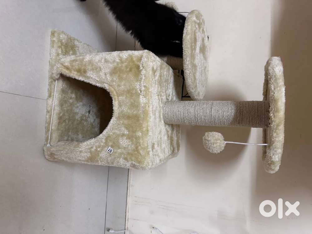 cat tree house
