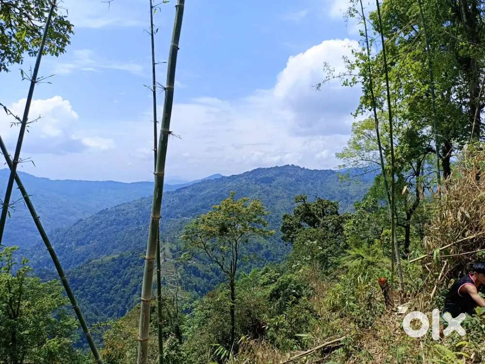 22 Decimal Land in Main road for Sale in Jhandi, Kalimpong