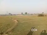 Near ntpc chatra