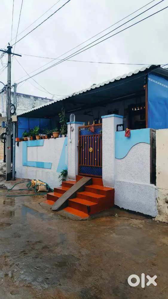 55 gajas plot for sale