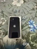 iPhone 12.