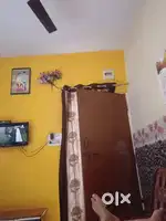 House in rent only bachelor