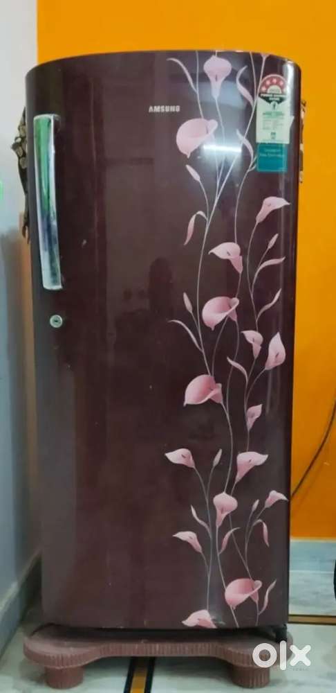 Fridge how to use to anyone