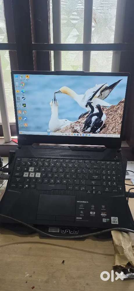 Laptop asus tuf gaming