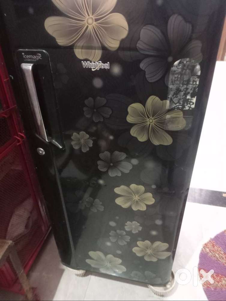 Whirlpool Fridge