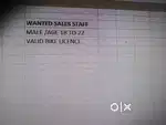 Sales staff paint shop