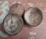 Coconut Shells