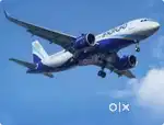 Urgent Hiring For Ground Staff Jobs
