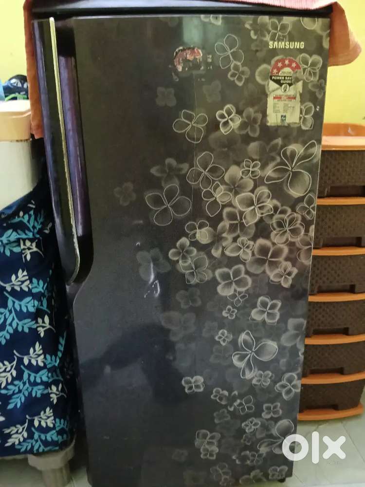 Fridge single door