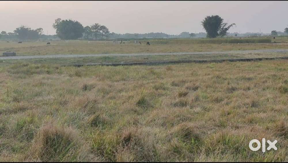 7 Bigha Plot of Land for sale at Bagdogra Atal