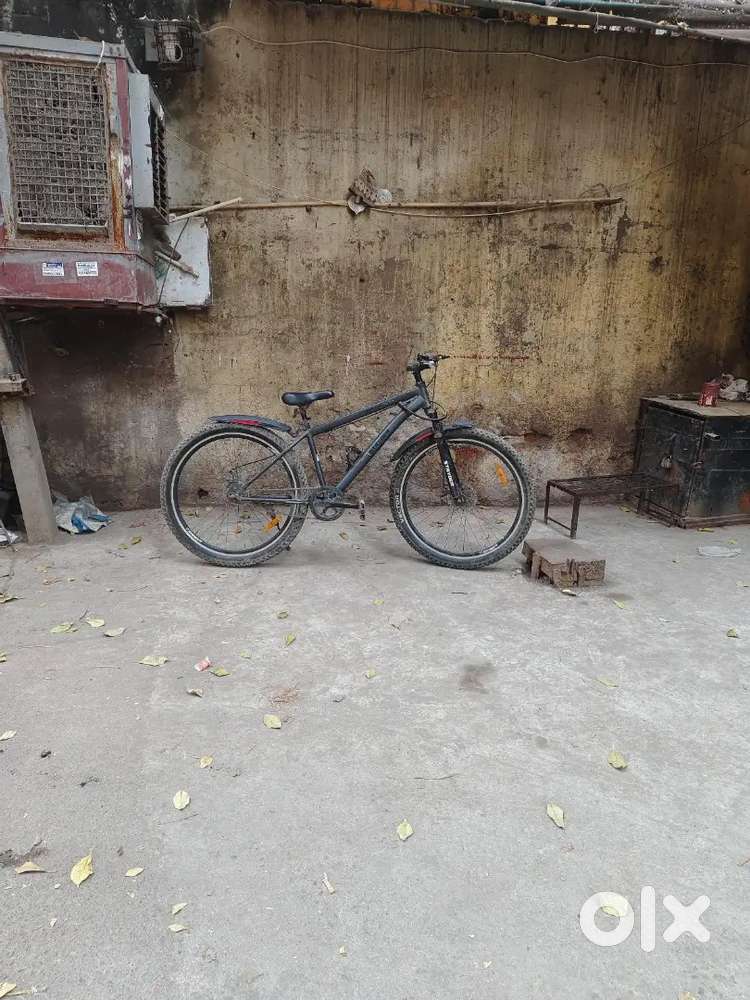 Vector 91 Stryder Cycle