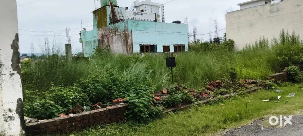 Plots are available in porshe area