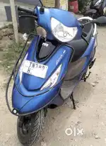 Zest 110 2023
