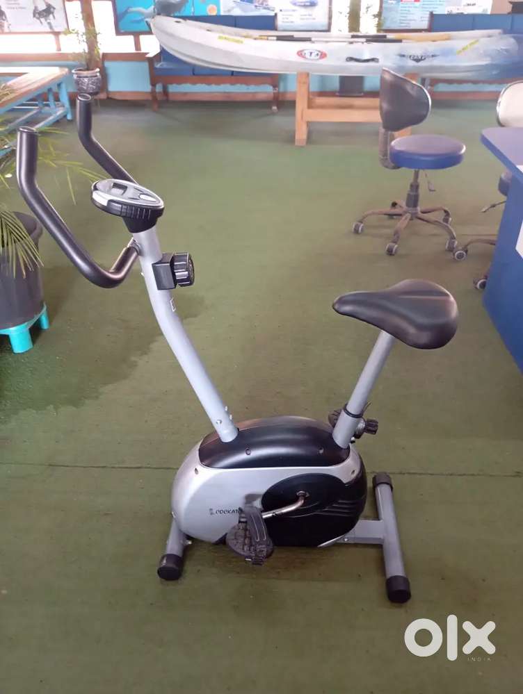 Cockatoo home exercise bike