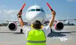 Indigo airlines airport vacancy ground staff job apply