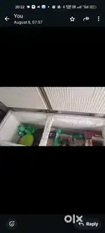 Double door freezer