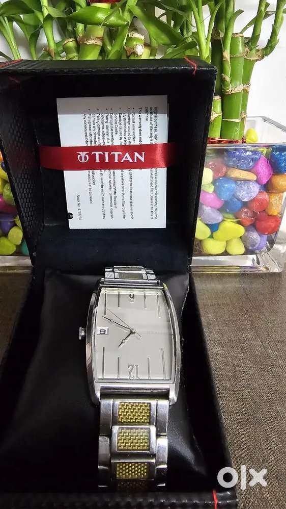 Titan watch