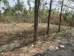 Plot for sale