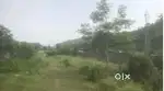 Land sale at Pardin near Kali Mandir on Road