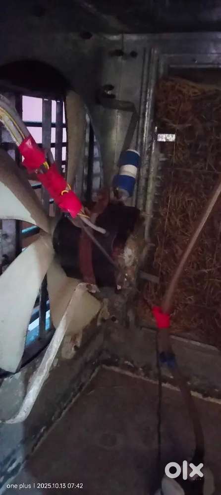 Water cooler for sale in good condition. 5 month old only