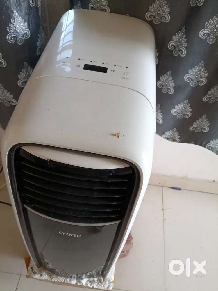 Portable C 4 Month Old 1tone cruise company