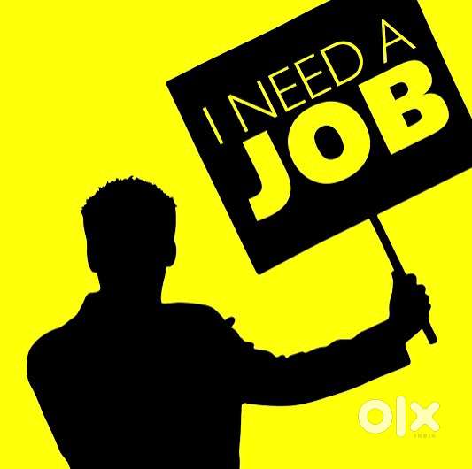 I need job in jagraon , ludhiana