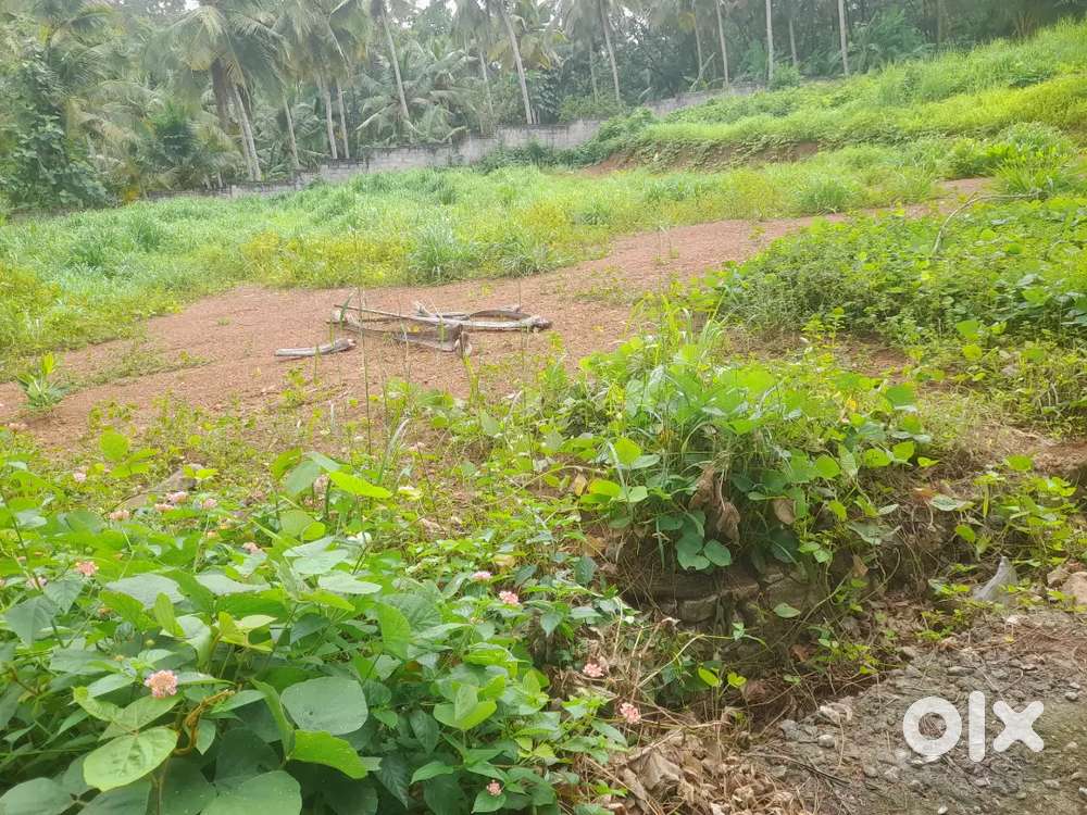 22CENT Vattiyoorkavu puliyarakonam